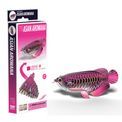 EUGY Asian Arowana additional 1