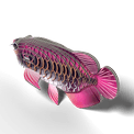 EUGY Asian Arowana additional 16