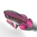 EUGY Asian Arowana additional 14