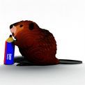 EUGY Beaver additional 7