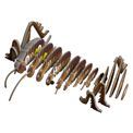 EUGY Giant Weta additional 10