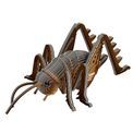 EUGY Giant Weta additional 11