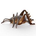 EUGY Giant Weta additional 12