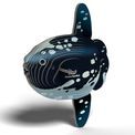 EUGY Ocean Sunfish additional 5