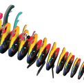 EUGY Rooster additional 10