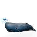 EUGY Sperm Whale additional 19