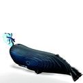 EUGY Sperm Whale additional 13