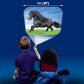 Horse Torch &amp; Projector additional 10