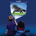 Horse Torch &amp; Projector additional 20