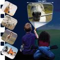 Horse Torch &amp; Projector additional 21