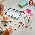 LEGO Botanicals - Cosmos Flowers additional 2