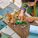 LEGO Creator - Wild Animals Majestic Lion additional 2