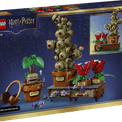 LEGO Harry Potter - Hogwarts Herbology Plants additional 5