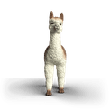 Schleich - Alpaca additional 5