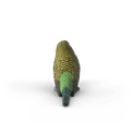 Schleich - Budgie additional 2