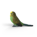 Schleich - Budgie additional 3