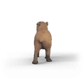 Schleich - Capybara additional 3