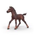 Schleich - Collectible Foals Series Assortment additional 4