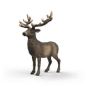 Schleich - Elk additional 1