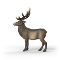 Schleich - Elk additional 2
