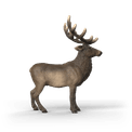 Schleich - Elk additional 4