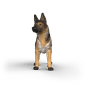 Schleich - German Shepherd Dog additional 1