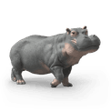 Schleich - Hippopotamus additional 2