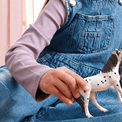 Schleich - Knabstrupper Gelding additional 7