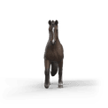 Schleich - KWPN Gelding additional 5
