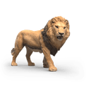 Schleich - Lion additional 1