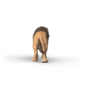 Schleich - Lion additional 3