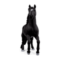 Schleich - Lusitano Stallion additional 2