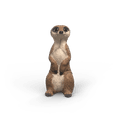Schleich - Meerkat additional 1