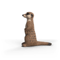 Schleich - Meerkat additional 2