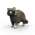 Schleich - Racoon additional 1