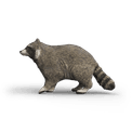Schleich - Racoon additional 2