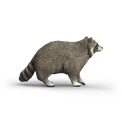 Schleich - Racoon additional 3