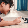 Schleich - Shadow Lemur additional 4