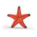 Schleich - Starfish Colour Change additional 2
