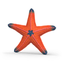 Schleich - Starfish Colour Change additional 1