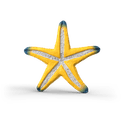 Schleich - Starfish Colour Change additional 6