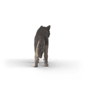 Schleich - Wolf additional 3