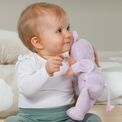 BABY born - for babies Funny Mouse Doll 26cm additional 13