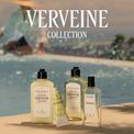 L'Occitane - Verveine Shower Gel 250ml additional 3