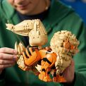 LEGO Pokémon - Arcanine additional 4