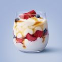 Easiyo - Greek Style Vanilla &amp; Rhubarb additional 2