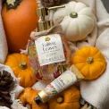 The Somerset Toiletry Co. - Pattern Pumpkins Falling Leaves Hand Wash 500ml additional 2