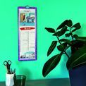 Otter House - 9 Lives Slim Calendar 2027 additional 6