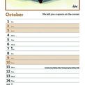 Otter House - Alisons Animals Slim Calendar 2027 additional 5