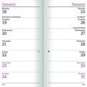 Otter House - Alisons Animals Slim Diary 2027 additional 3